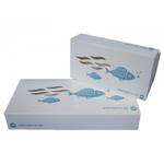 PaperTrade - Ολοκληρωμένα Συστήματα Καθαρισμού