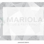 PaperTrade - Ολοκληρωμένα Συστήματα Καθαρισμού